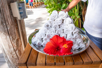 Coco beach club hand towels