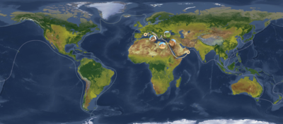 Ultimate Middle East and Med Map