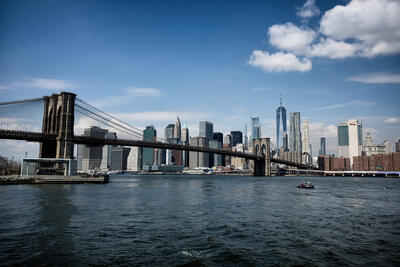 A Cruise Down Canal Street in New York City's Chinatown – Blog