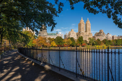 A Cruise Down Canal Street in New York City's Chinatown – Blog