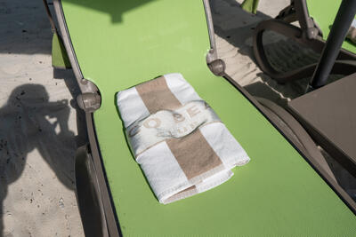 Coco beach club chair and towel