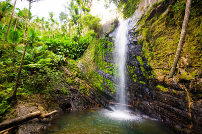 el-yunque-rainforest-san-juan