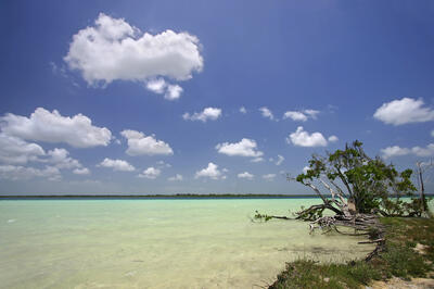 Bacalar Lagoon