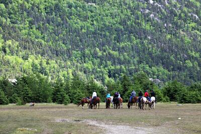 alaska horseback tour