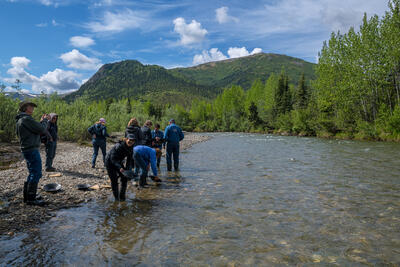 gold-panning-alaska