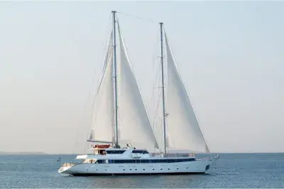 ms-panorama-II