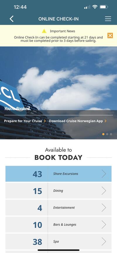 ncl cruise check in time