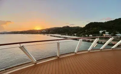 NCL bliss