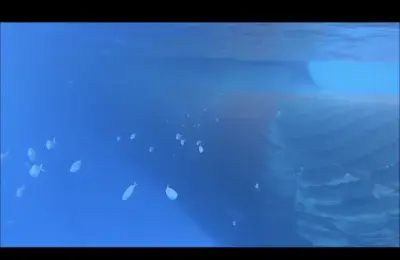 go pro footage
