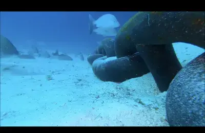 go pro footage