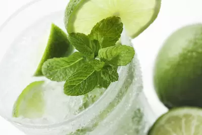 mojito-stock