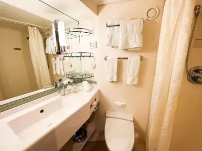 bathroom Royal Princess cruise cabin
