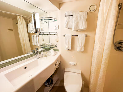 bathroom Royal Princess cruise cabin