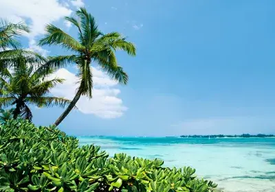 MSC Western Caribbean