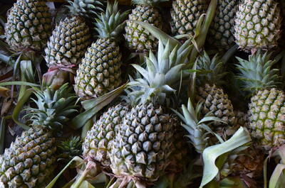 pineapple-stock-1
