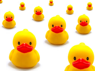 rubber-duck-stock