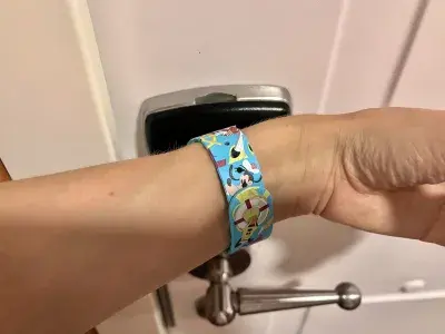 dcl disneyband