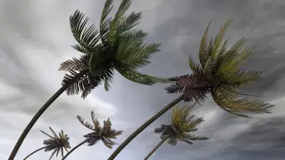 hurricane
