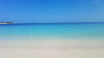 Bimini Beach at Ocean Cay Marine Reserve