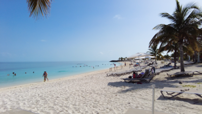 Bimini Beach at Ocean Cay Marine Reserve