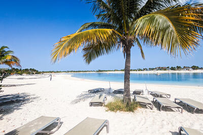 Beach at Ocean Cay Marine Reserve