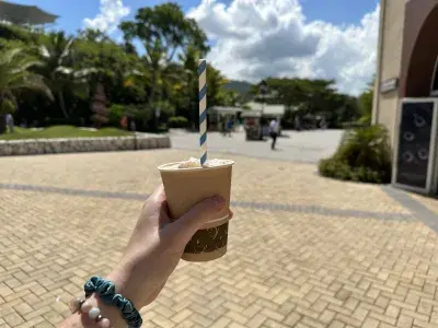 cafe-el-cibao-amber-cove