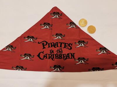 Guide to Disney Cruise Pirate Night