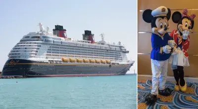 disney hero