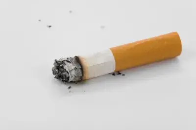 opera house cigarettes after sex Opera House - song and lyrics by Cigarettes After Sex