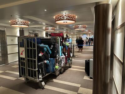 embarkation-luggage-vista