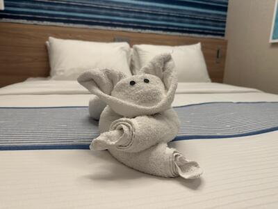 towel-animal-celebration