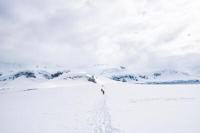 people hiking in antarctica