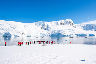 people standing near a seal