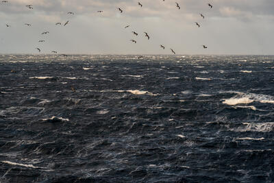 bay-of-biscay