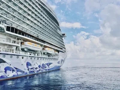NCL viva