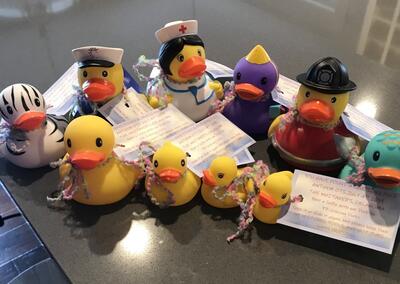 rubber-ducks-rcb-discussion