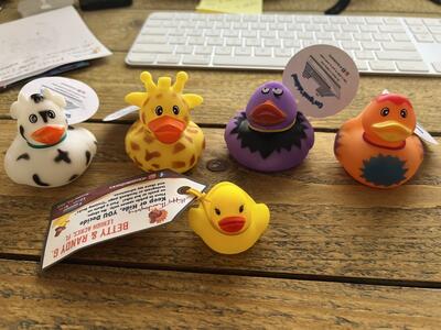 rubber-ducks-rcb-discussion