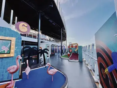 NCL viva