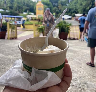 Ice cream bowl on St. Thomas