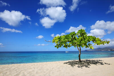 magazine-beach-grenada