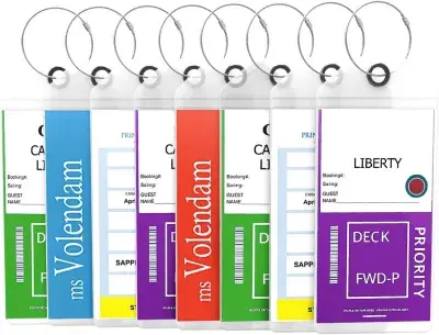 Carnival-luggage-tags