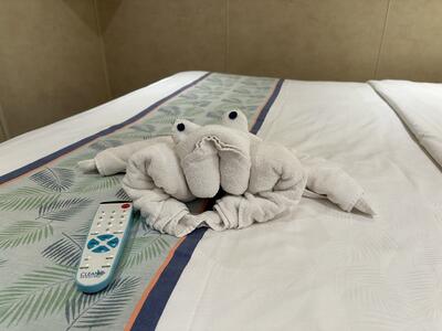 towel animal