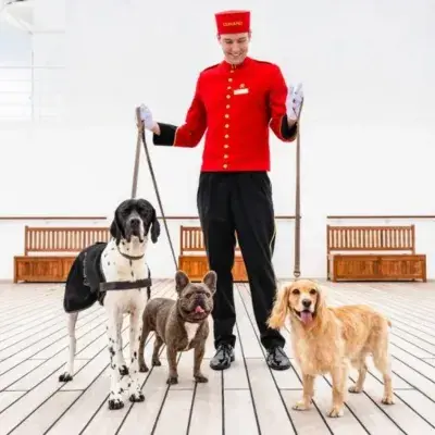 cunard-dogs