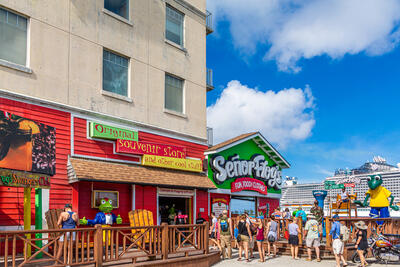 senor-frogs-nassau