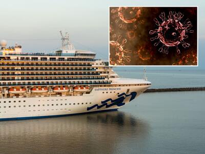 A Norovirus Outbreak Aboard Royal Caribbean, Princess Cruises Ships Has ...