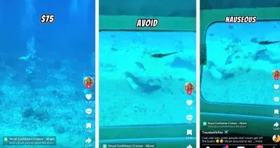 TikTok Excursion