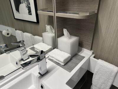 Ascent-Bathroom-Infinite-Veranda