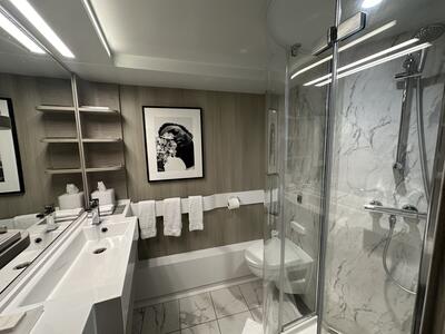 Ascent-Infinite-Veranda-Bathroom