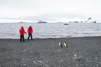 two men watching penguins on a beach in Antarctica