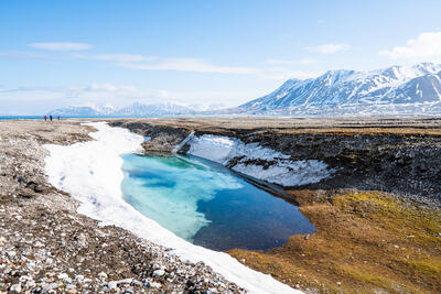 Arctic landscape